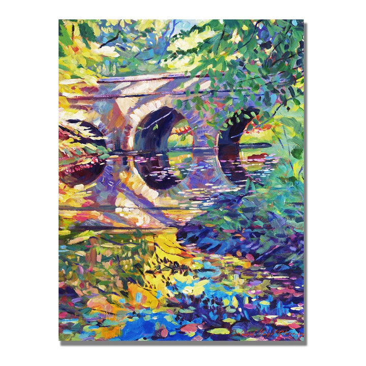 David Lloyd Glover Stone Footbridge Canvas Wall Art 35 x 47 Image 1