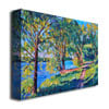 David Lloyd Glover Summers Lake Canvas Wall Art 35 x 47 Image 2