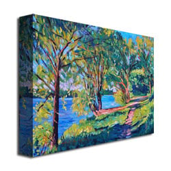 David Lloyd Glover Summers Lake Canvas Wall Art 35 x 47 Image 3