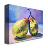 David Lloyd Glover A Pair of Pears Canvas Wall Art 35 x 47 Image 2