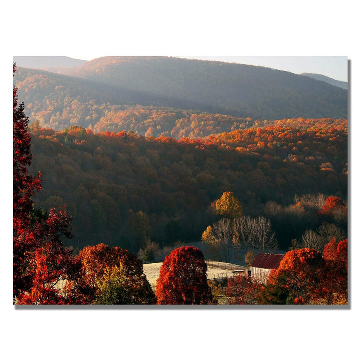 MCat Glorious Greeting Canvas Wall Art 35 x 47 Image 1