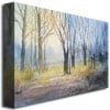 Ryan Radke Misty Morning Canvas Wall Art 35 x 47 Image 2