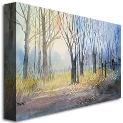 Ryan Radke Misty Morning Canvas Wall Art 35 x 47 Image 3