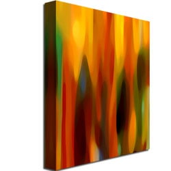 Amy Vangsgard Forest Sunlight Vertical Canvas Wall Art 35 x 47 Image 3