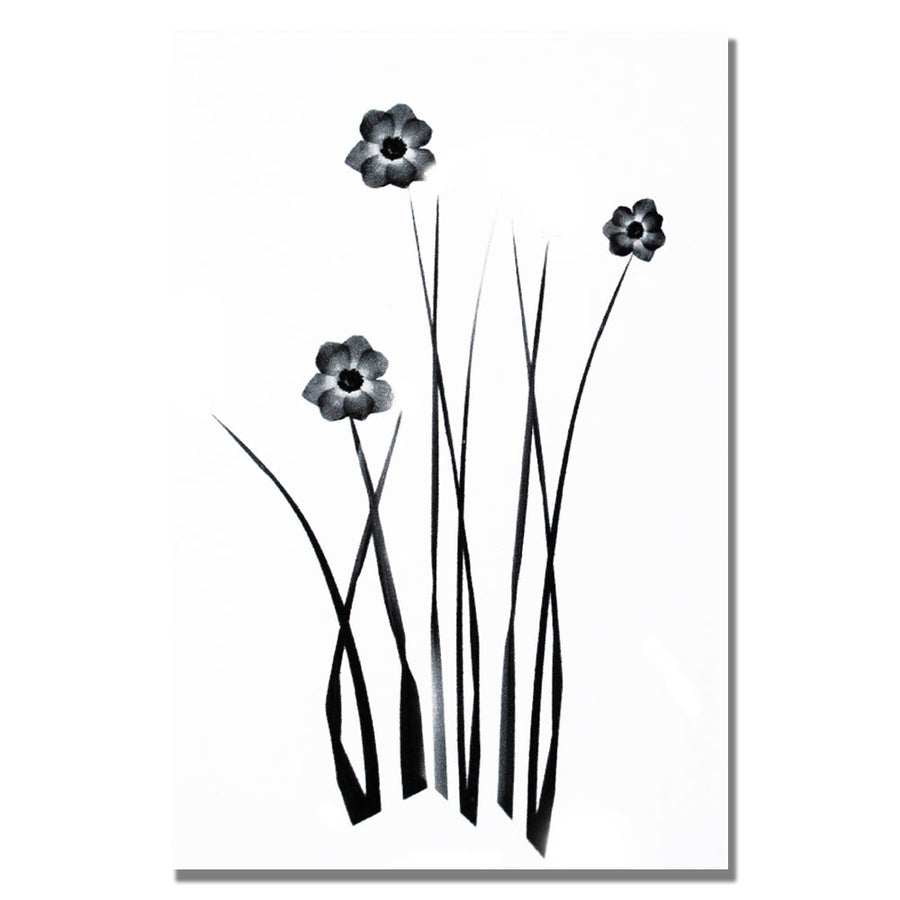 Kathie McCurdy White and Black Bunch Canvas Wall Art 35 x 47 Image 1