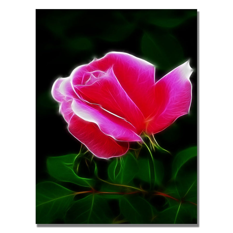 Kathie McCurdy Pink Rose Abstract Canvas Wall Art 35 x 47 Image 1