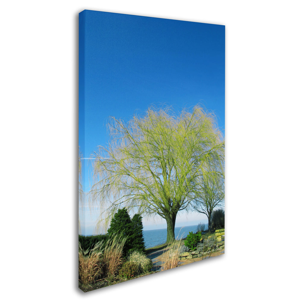 Kathie McCurdy Wind to the Willow Canvas Wall Art 35 x 47 Image 2