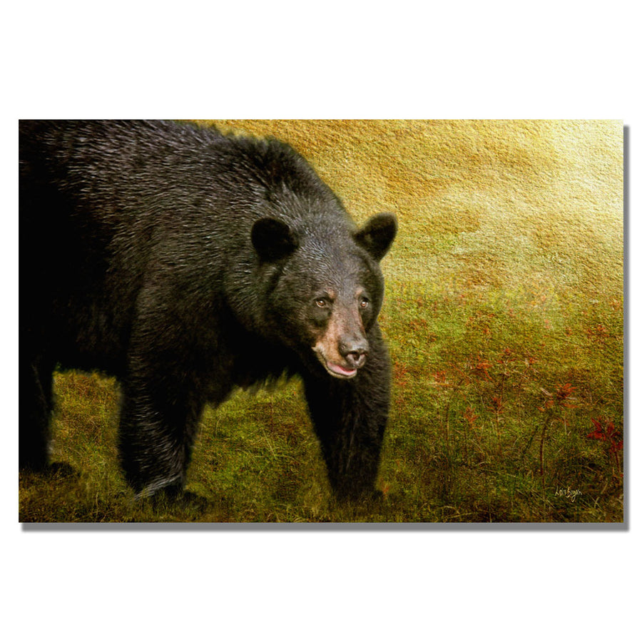 Lois Bryan Big Black Bear Canvas Wall Art 35 x 47 Image 1