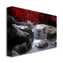 Philippe Sainte-Laudy Red Vison Canvas Wall Art 35 x 47 Image 3