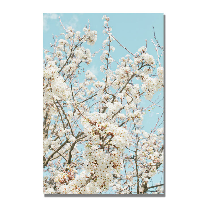 Ariane Moshayedi Blue Cherry Blossum Canvas Wall Art 35 x 47 Image 1