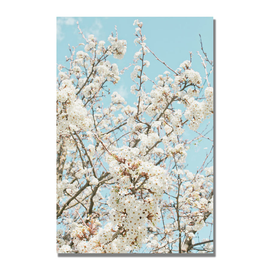 Ariane Moshayedi Blue Cherry Blossum Canvas Wall Art 35 x 47 Image 1