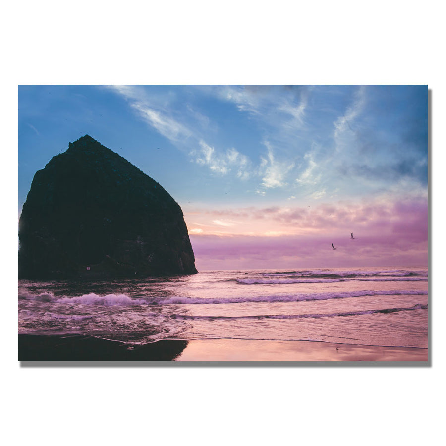 Ariane Moshayedi Canon Beach II Canvas Wall Art 35 x 47 Image 1