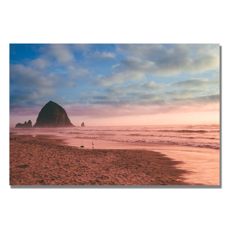 Ariane Moshayedi Canon Beach Canvas Wall Art 35 x 47 Image 1