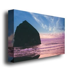 Ariane Moshayedi Canon Beach II Canvas Wall Art 35 x 47 Image 3