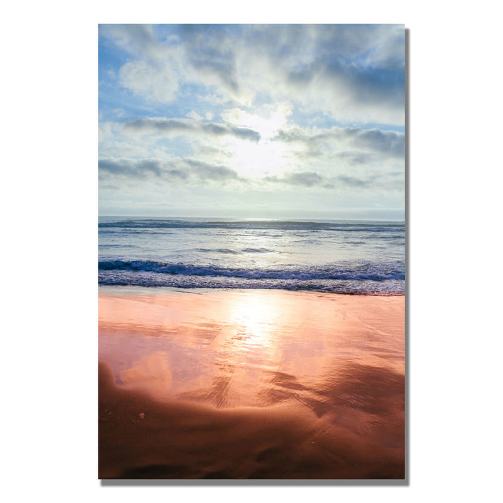 Ariane Moshayedi Costal Reflections III Canvas Wall Art 35 x 47 Image 1