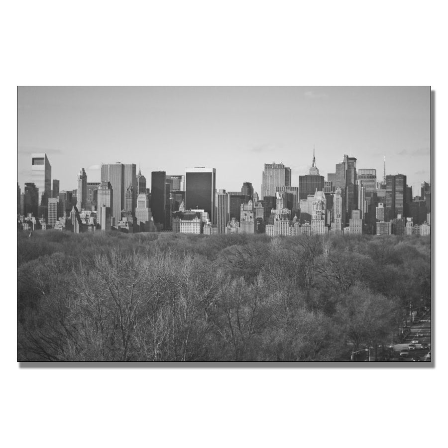 Ariane Moshayedi City Line Canvas Wall Art 35 x 47 Image 1