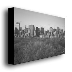 Ariane Moshayedi City Line Canvas Wall Art 35 x 47 Image 3