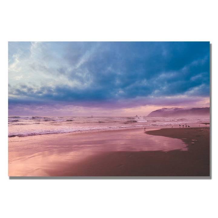 Ariane Moshayedi Color Reflections Canvas Wall Art 35 x 47 Image 1