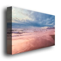 Ariane Moshayedi Costal Reflections II Canvas Wall Art 35 x 47 Image 3