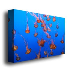 Ariane Moshayedi Color Jellyfish Canvas Wall Art 35 x 47 Image 3