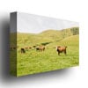 Ariane Moshayedi Cow Staredown Canvas Wall Art 35 x 47 Image 2