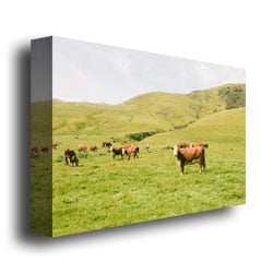 Ariane Moshayedi Cow Staredown Canvas Wall Art 35 x 47 Image 3