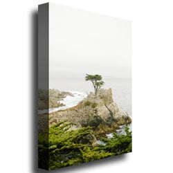 Ariane Moshayedi Lone Cyprus Canvas Wall Art 35 x 47 Image 3