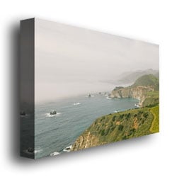 Ariane Moshayedi Big Sur Coast IV Canvas Wall Art 35 x 47 Image 3