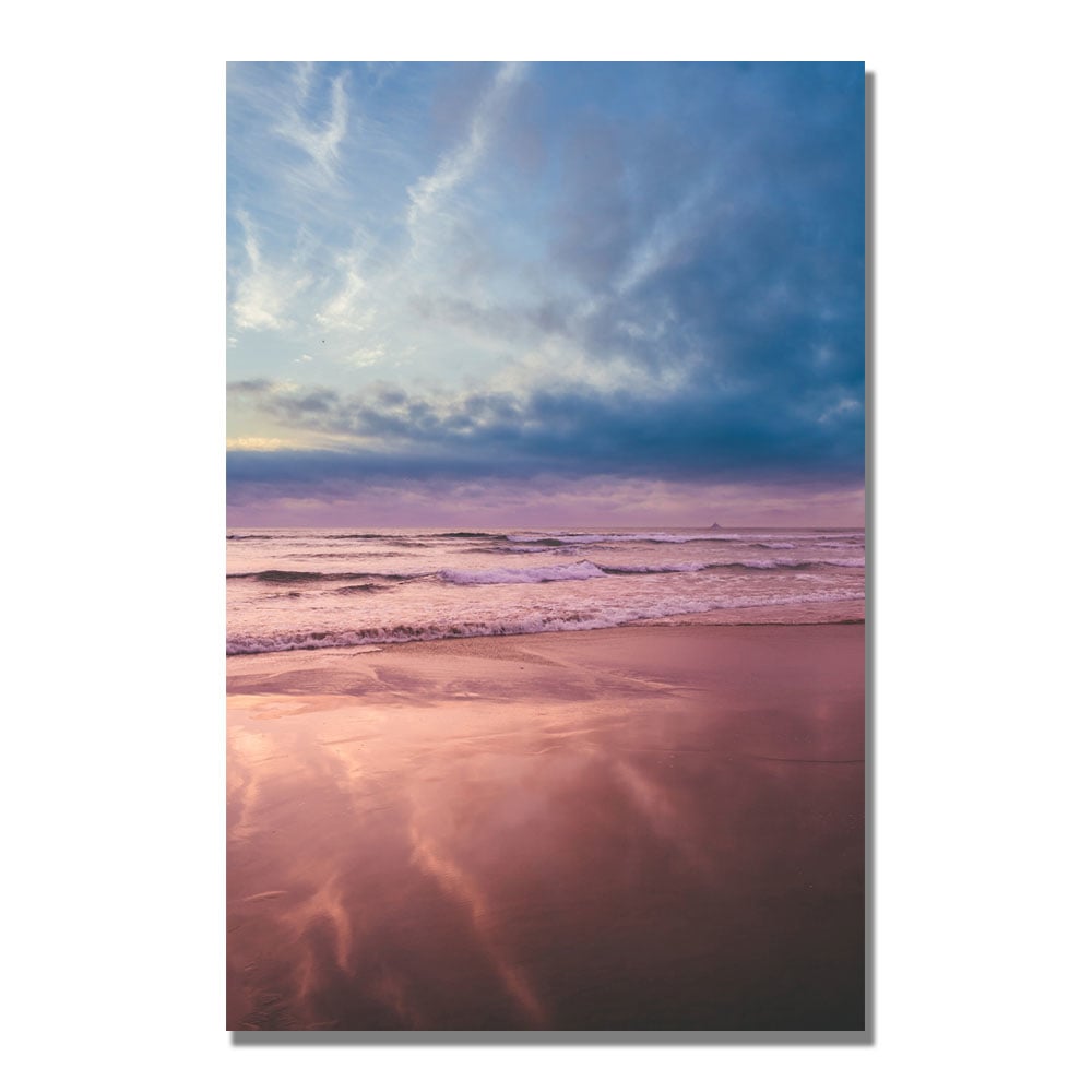 Ariane Moshayedi Beach Reflections II Canvas Wall Art 35 x 47 Image 1