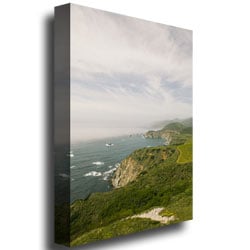 Ariane Moshayedi Big Sur Coast V Canvas Wall Art 35 x 47 Image 3