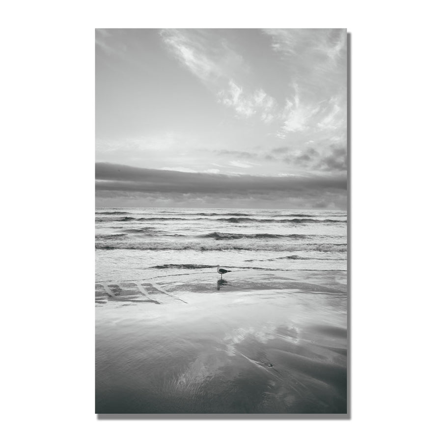 Ariane Moshayedi Seagull Reflections Canvas Wall Art 35 x 47 Image 1