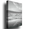 Ariane Moshayedi Seagull Reflections Canvas Wall Art 35 x 47 Image 2