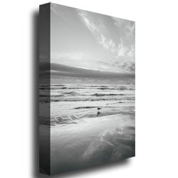 Ariane Moshayedi Seagull Reflections Canvas Wall Art 35 x 47 Image 3