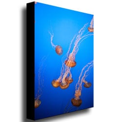 Ariane Moshayedi Jellyfish Canvas Wall Art 35 x 47 Image 3