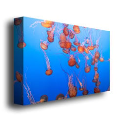 Ariane Moshayedi Jellyfish III Canvas Wall Art 35 x 47 Image 3