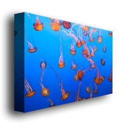 Ariane Moshayedi Jellyfish IV Canvas Wall Art 35 x 47 Image 3
