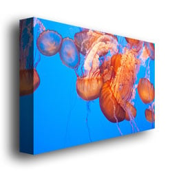 Ariane Moshayedi Jellyfish Close Canvas Wall Art 35 x 47 Image 3