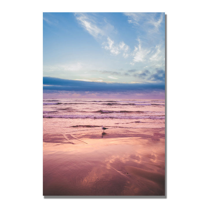 Ariane Moshayedi Seagull Reflections II Canvas Wall Art 35 x 47 Image 1