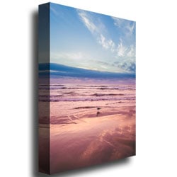 Ariane Moshayedi Seagull Reflections II Canvas Wall Art 35 x 47 Image 3