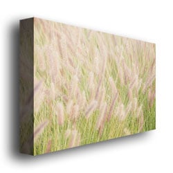 Ariane Moshayedi Wild Breeze Canvas Wall Art 35 x 47 Image 3