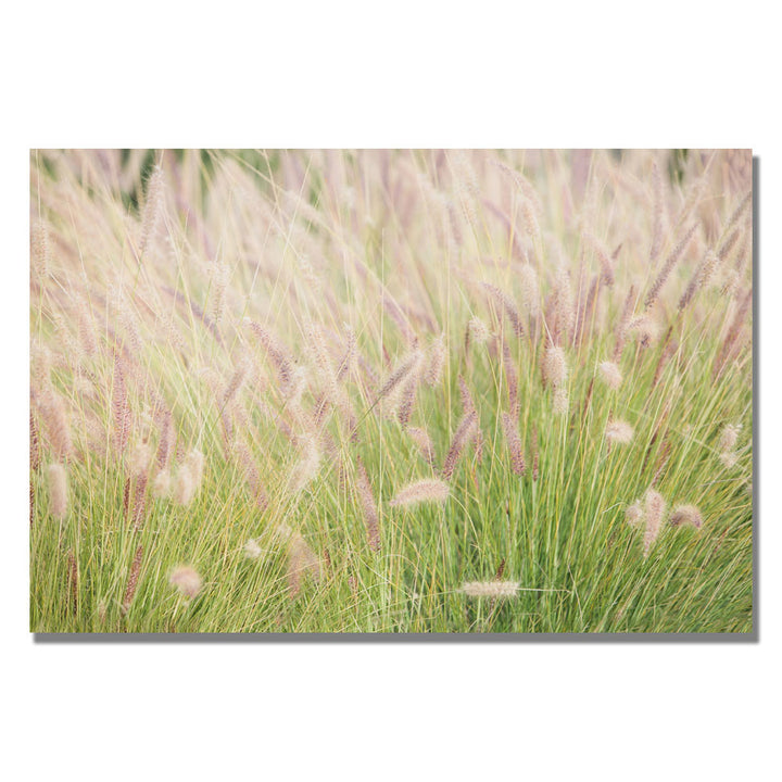 Ariane Moshayedi Wild Breeze II Canvas Wall Art 35 x 47 Image 1