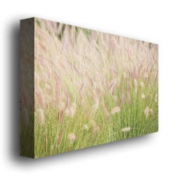 Ariane Moshayedi Wild Breeze II Canvas Wall Art 35 x 47 Image 3