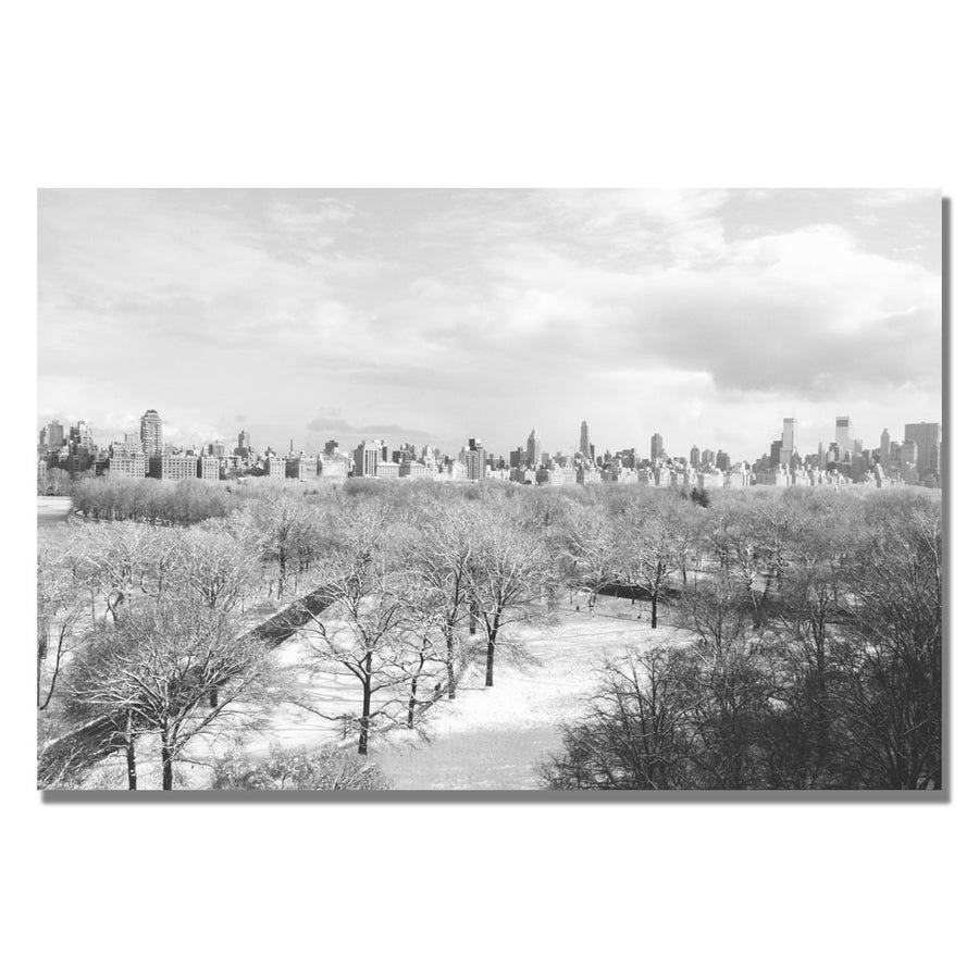 Ariane Moshayedi Snowy Park Canvas Wall Art 35 x 47 Image 1