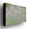 Ariane Moshayedi Wild Breeze III Canvas Wall Art 35 x 47 Image 2