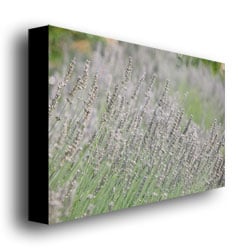 Ariane Moshayedi Wild Breeze III Canvas Wall Art 35 x 47 Image 3