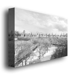 Ariane Moshayedi Snowy Park Canvas Wall Art 35 x 47 Image 3