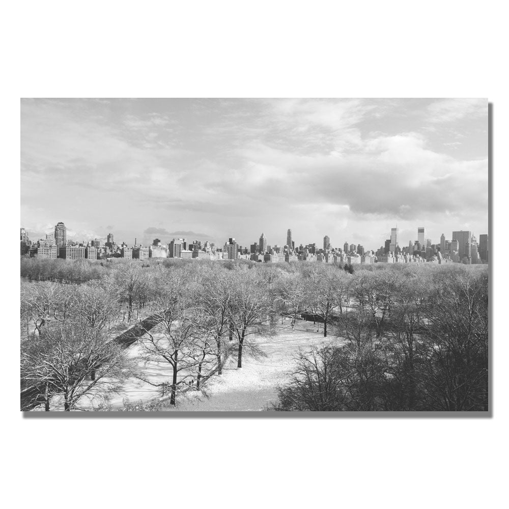 Ariane Moshayedi Snowy Park II Canvas Wall Art 35 x 47 Image 1