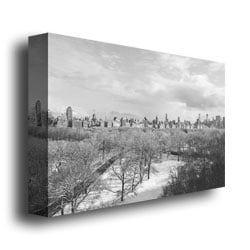 Ariane Moshayedi Snowy Park II Canvas Wall Art 35 x 47 Image 3