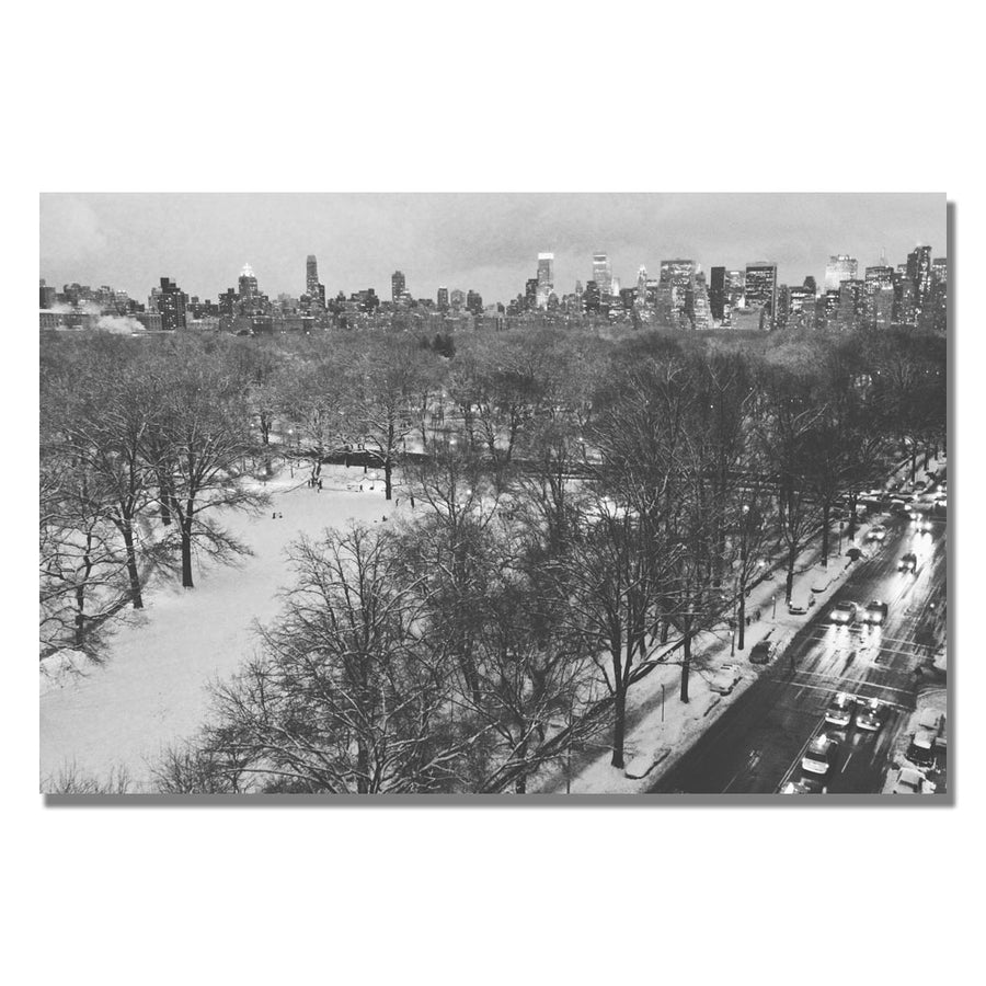 Ariane Moshayedi Snowy Park III Canvas Wall Art 35 x 47 Image 1