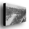 Ariane Moshayedi Snowy Park III Canvas Wall Art 35 x 47 Image 2